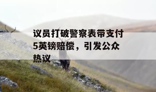 议员打破警察表带支付5英镑赔偿，引发公众热议