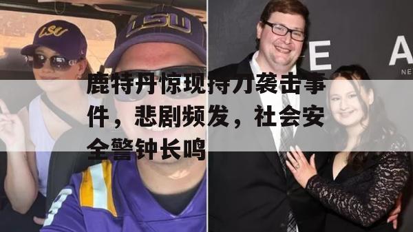 鹿特丹惊现持刀袭击事件，悲剧频发，社会安全警钟长鸣