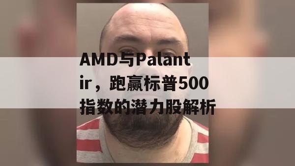 AMD与Palantir，跑赢标普500指数的潜力股解析