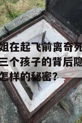 空姐在起飞前离奇死亡，三个孩子的背后隐藏着怎样的秘密？