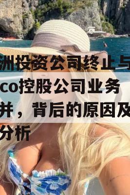 欧洲投资公司终止与Zacco控股公司业务合并，背后的原因及影响分析