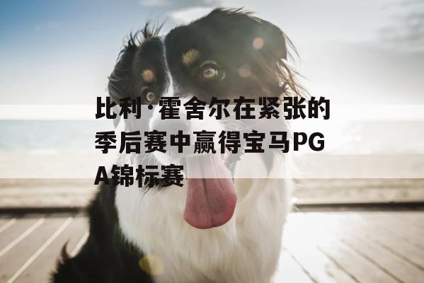 比利·霍舍尔在紧张的季后赛中赢得宝马PGA锦标赛