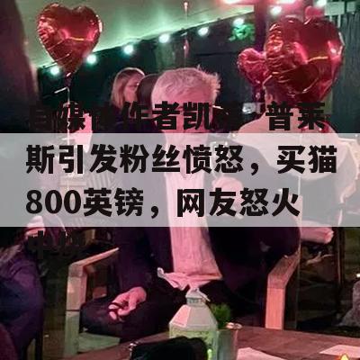 自媒体作者凯蒂·普莱斯引发粉丝愤怒，买猫800英镑，网友怒火中烧