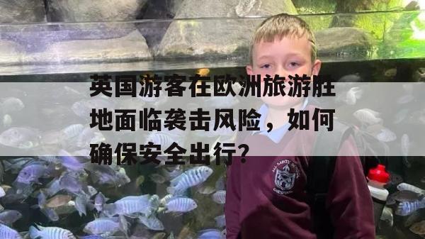 英国游客在欧洲旅游胜地面临袭击风险，如何确保安全出行？