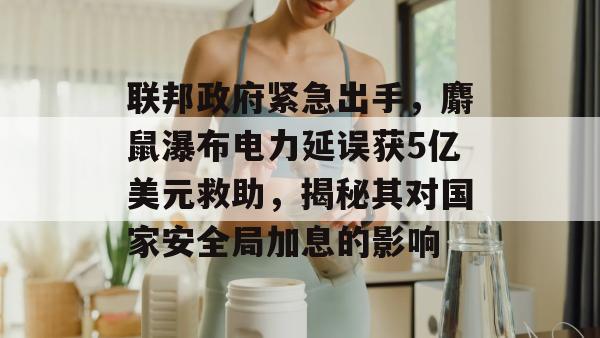 联邦政府紧急出手，麝鼠瀑布电力延误获5亿美元救助，揭秘其对国家安全局加息的影响