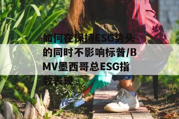 如何在保持ESG势头的同时不影响标普/BMV墨西哥总ESG指数表现