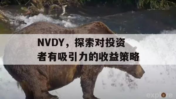 NVDY，探索对投资者有吸引力的收益策略