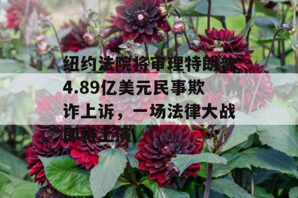 纽约法院将审理特朗普4.89亿美元民事欺诈上诉，一场法律大战即将上演