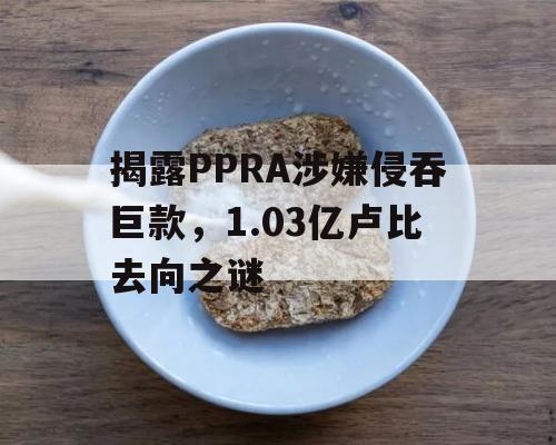 揭露PPRA涉嫌侵吞巨款，1.03亿卢比去向之谜