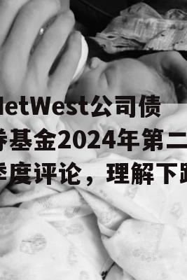 MetWest公司债券基金2024年第二季度评论，理解下跌