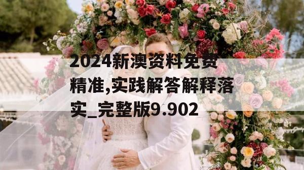 2024新澳资料免费精准,实践解答解释落实_完整版9.902