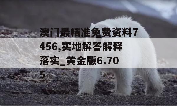 澳门最精准免费资料7456,实地解答解释落实_黄金版6.705