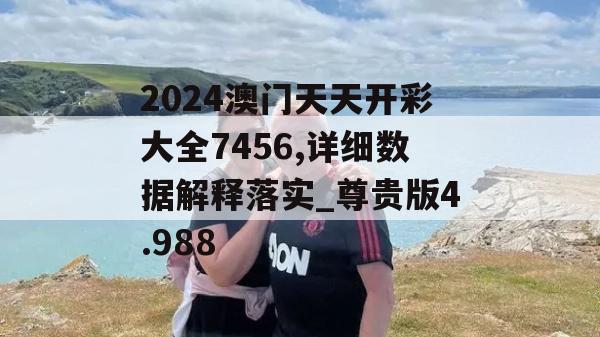 2024澳门天天开彩大全7456,详细数据解释落实_尊贵版4.988