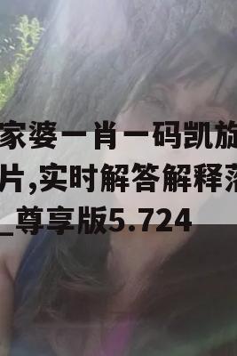 管家婆一肖一码凯旋门图片,实时解答解释落实_尊享版5.724