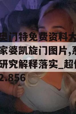 新奥门特免费资料大全管家婆凯旋门图片,系统研究解释落实_超值版2.856