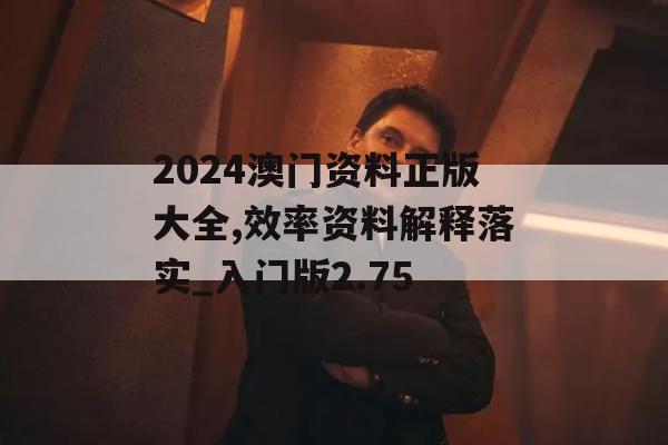 2024澳门资料正版大全,效率资料解释落实_入门版2.75