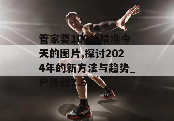 管家婆100%精准今天的图片,探讨2024年的新方法与趋势_户外版2.63