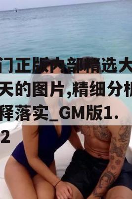 澳门正版内部精选大全今天的图片,精细分析解释落实_GM版1.742