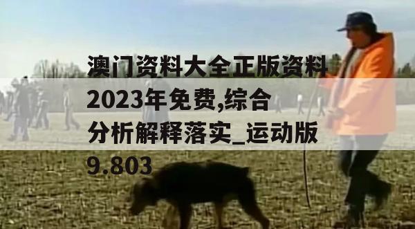 澳门资料大全正版资料2023年免费,综合分析解释落实_运动版9.803