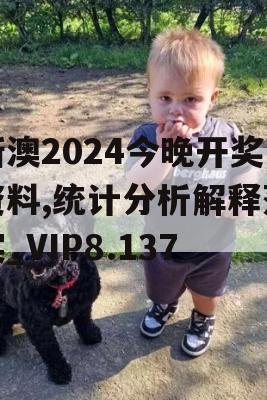 新澳2024今晚开奖资料,统计分析解释落实_VIP8.137