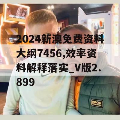 2024新澳免费资料大纲7456,效率资料解释落实_V版2.899