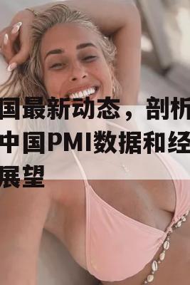 中国最新动态，剖析最新中国PMI数据和经济展望