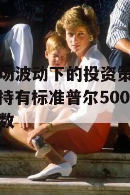 市场波动下的投资策略，持有标准普尔500指数