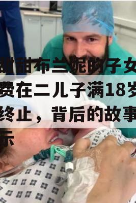 小甜甜布兰妮的子女抚养费在二儿子满18岁时终止，背后的故事与启示