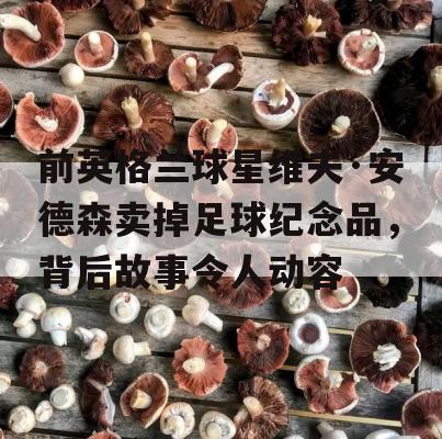 前英格兰球星维夫·安德森卖掉足球纪念品，背后故事令人动容