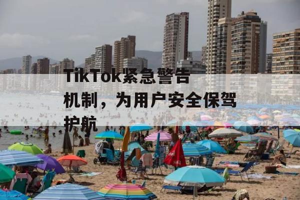 TikTok紧急警告机制，为用户安全保驾护航