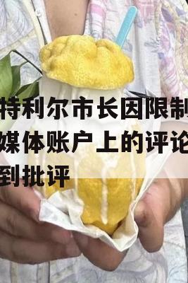 蒙特利尔市长因限制社交媒体账户上的评论而受到批评