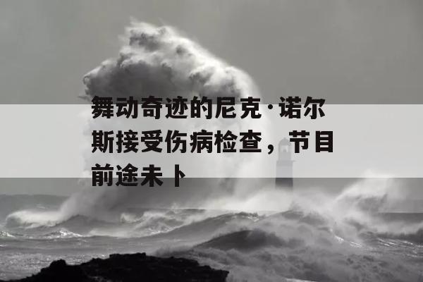 舞动奇迹的尼克·诺尔斯接受伤病检查，节目前途未卜