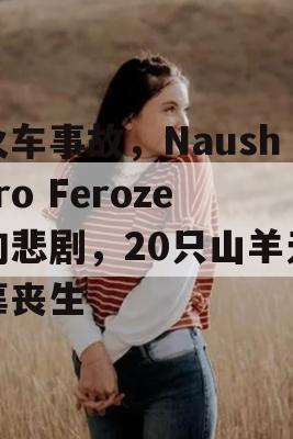 火车事故，Naushero Feroze的悲剧，20只山羊无辜丧生