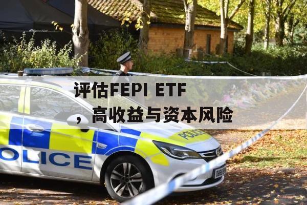 评估FEPI ETF，高收益与资本风险