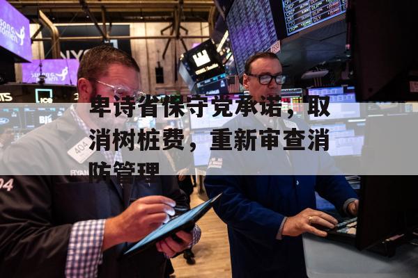 卑诗省保守党承诺，取消树桩费，重新审查消防管理